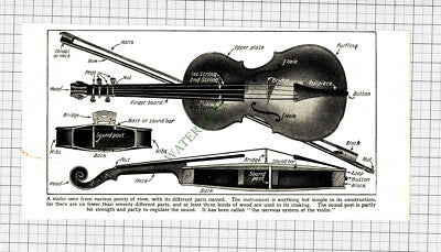 C7495) Violin Diagram - c.1930s Cutting