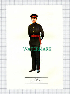 (X7) British Army - Subaltern Royal Sussex Regiment  Print