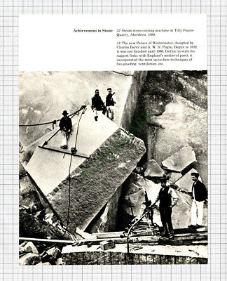 9047) Tilly Fourie Quarry Aberdeen - Cutting