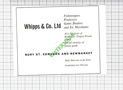 Bury St Edmunds Whipps & Co Ltd Fishmongers Small Advert - 1964 Cutting