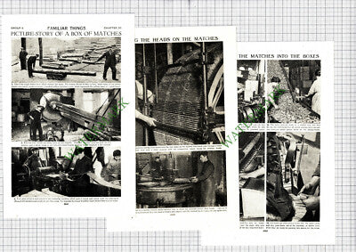 Story Of Match Factory Bryant & May - c.1950s Article