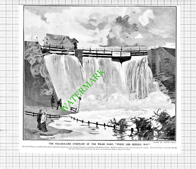 The Welsh Harp Lake London Brent Reservoir - 1903 Cutting / Print