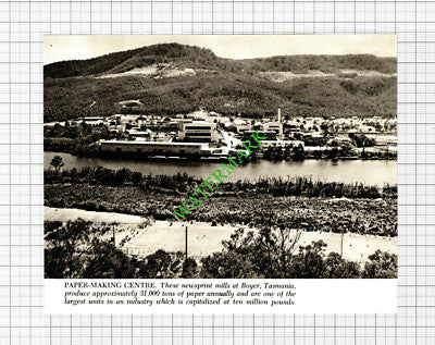 Paper Newsprint Mills Boyer Tasmania    - 1960s Cutting