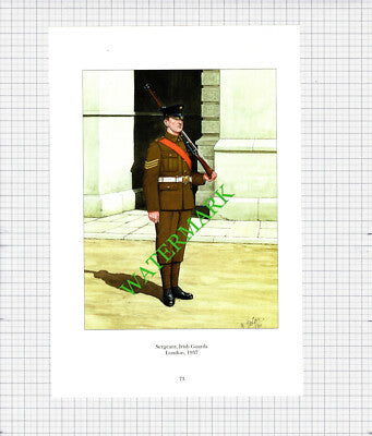 Sergeant Irish Guards  -  c.1990's Print
