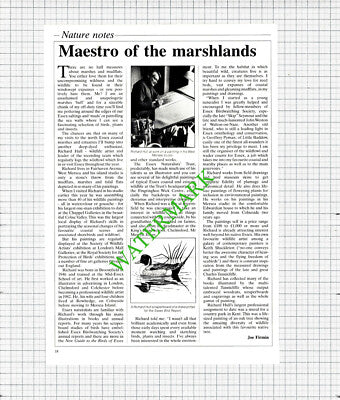 Richard Hull Artist West Mersea Essex - 1989 Article