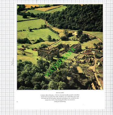 Rievaulx Abbey / Richmond North Yorkshire Castle - 1980s Cutting / Print