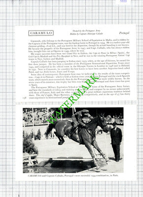 Captain Henrique Callado Horse CARAMULO Portugal -1950s 2-Part Cutting