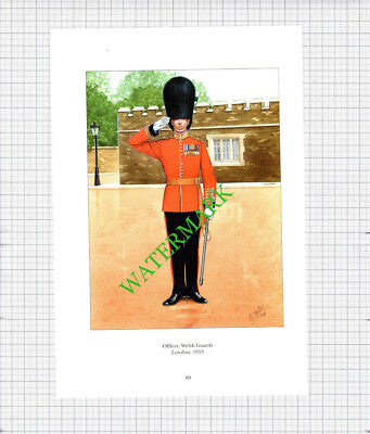 Officer Welsh Guards London -  c.1990's Print