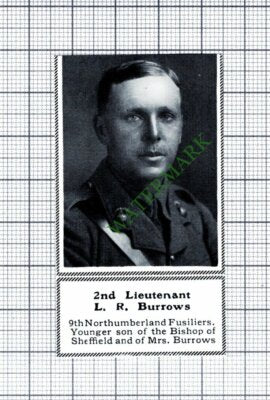 2nd Lt L R Burrows 9th Northumberland Fusiliers Bishop Of Sheffield 1915 Cutting