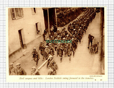 C5596) London Scottish World War One - c.1917 Cutting