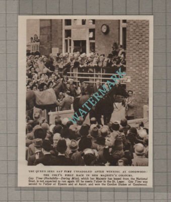 C3541) Horse GAY TIME Goodwood Winner - 1952 Clip