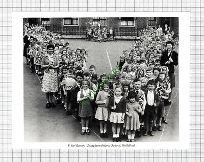 C7955) Stoughton Infants School Guildford VE Day  - Cutting