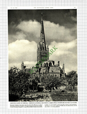 Norwich Cathedral Norfolk Appeal - 1950 Cutting / Print
