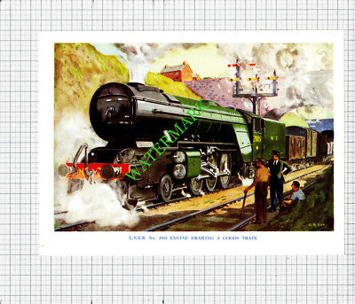 LNER No 2005 Engine G R Day / Cock O' The North No 2001  - c.1948 Print