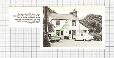 The Viper Inn Mill Green Ingatestone - 1971 Small Cutting
