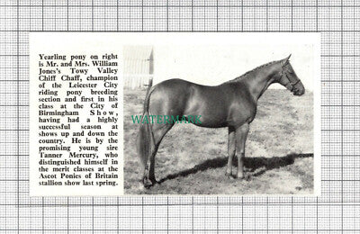 C2663) Mr William Jones Pony Towy Valley Chiff Chaff Tanner Mercury - 1968 Clip