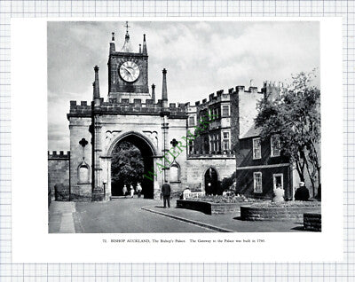 9301) Bishop Auckand Bishop's Palace   - 1958 Book Print