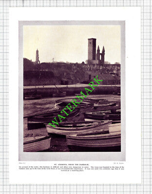 St Andrews Harbour - 1920's Cutting / Print