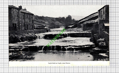Gayle Yorkshire / Oakwell Hall Birstall - 1970s Cutting