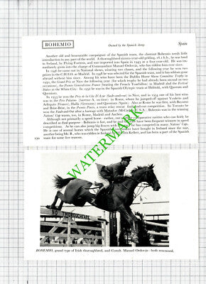 Comdt Manuel Ordovas Horse  BOHEMIO Spain  -1950s 2-Part Cutting