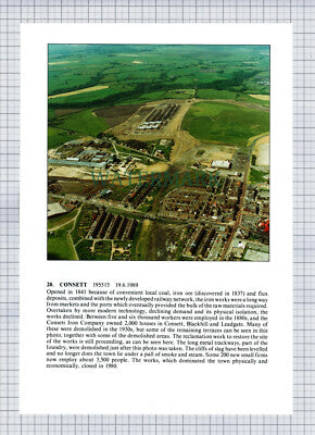 (8616) Consett / Egger Plant Hexham  - 1980s Print / Cutting