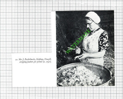 Mrs J Postlethwaite Riddings Howgill - c.1970's Cutting