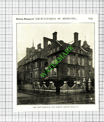 The New Hospital For Women King's Cross London-  c.1915 Cutting