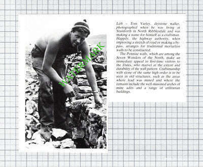 Tom Varley Stainforth North Ribblesdale Drystone Waller - Cutting