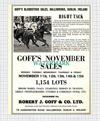 (X33) Goff's Bloodstock Sales Ballsbridge Dublin Horse Right Tack - 1968 Clip