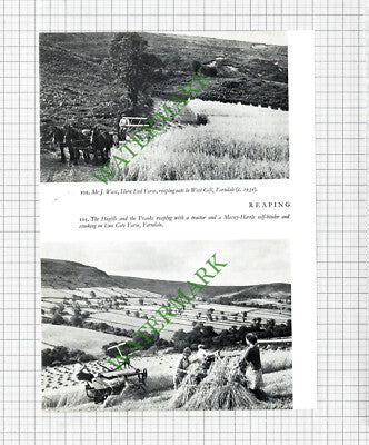 George Readman Lealholm Hall  Ewe Cote Farnham Frank Horn End Farm Wass Cutting