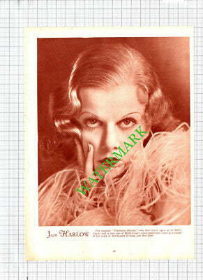 Jean Harlow Actress / Benita Hume   - 1930s Illustration  / Print