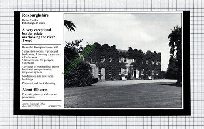 Kelso Roxburghshire House Sale Advert - 1981 Cutting