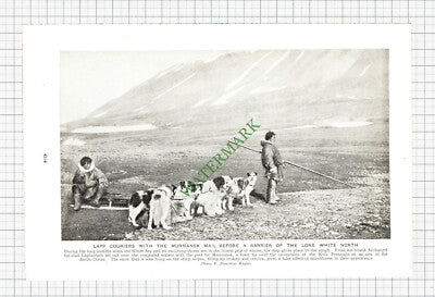 Lapp Couriers Murmansk Mail  - c.1930s Cutting / Print