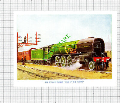 LNER No 2005 Engine G R Day / Cock O' The North No 2001  - c.1948 Print
