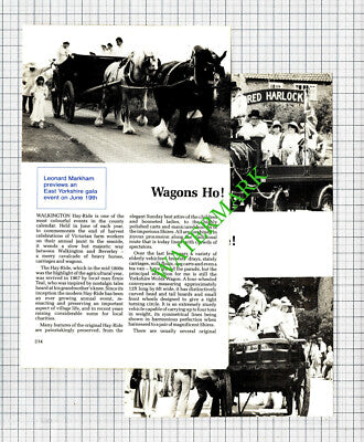Walkington Hay Ride  Yorkshire   - 1988 Article