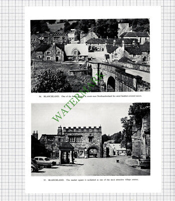 9278) Gateshead Shipley Art Gallery / Blanchland - 1958 Book Print
