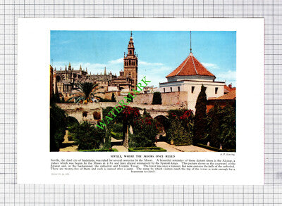 Seville Andalusia / Sarajevo Market Place - c.1950s Book Print