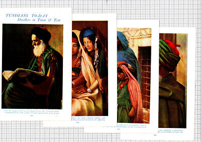 Tunisia Tunisian People Rabbi  Beduin Camels  - c.1950s Book Prints