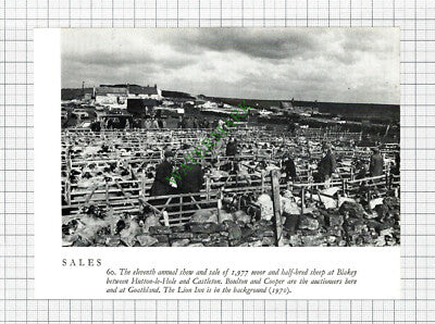 Blakey Hutton le Hole Boulton and Cooper Auctioneers Lion Inn - 1970s Cutting
