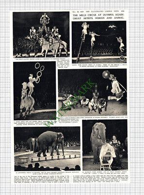 Bertram Mills Circus Margot Edwards Cumberlands Adolf Fischer  - 1950 Cutting