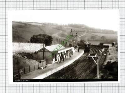 C8013) Calstock Railway Station  - Cutting