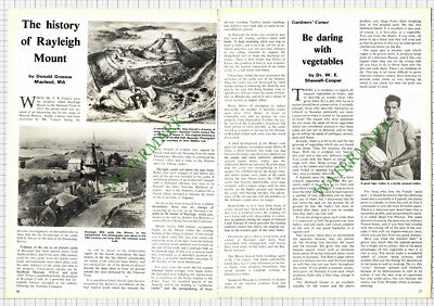 Rayleigh Mount Essex - 1975 Article
