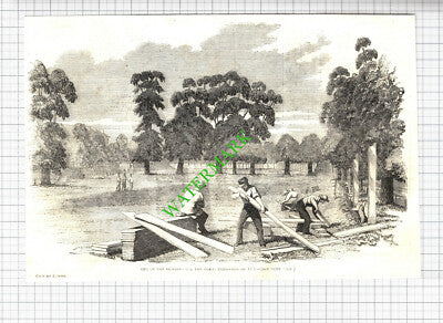 The Great Exhibition of 1851 - 1850 Cutting