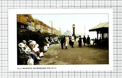 C7936) Weymouth Promenade - Cutting