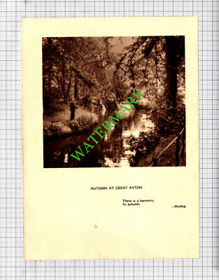 Barden Moors / Great Ayton - c.1930s Book Print