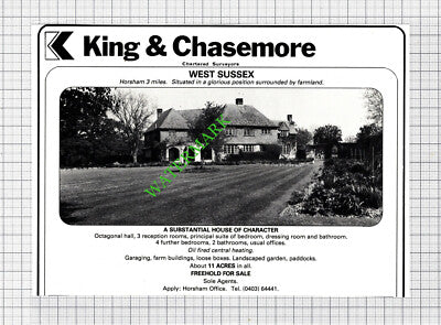 Horsham West Sussex Sale Advert - 1980 Cutting