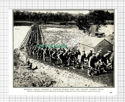 C5506) Winnipeg Rifles Jacques Cartier River World War One - c.1918 Cutting