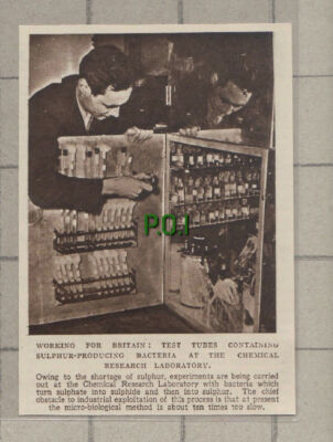C793) Chemical Research Laboratory Sulphur Experiments - 1951 Cutting