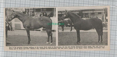 C1289) HIS Show Newmarket Charlie Mumford Good Apple H Moore Shelley Boy - 1972