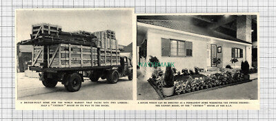 C3094) The Unitroy House - 1950s Cutting